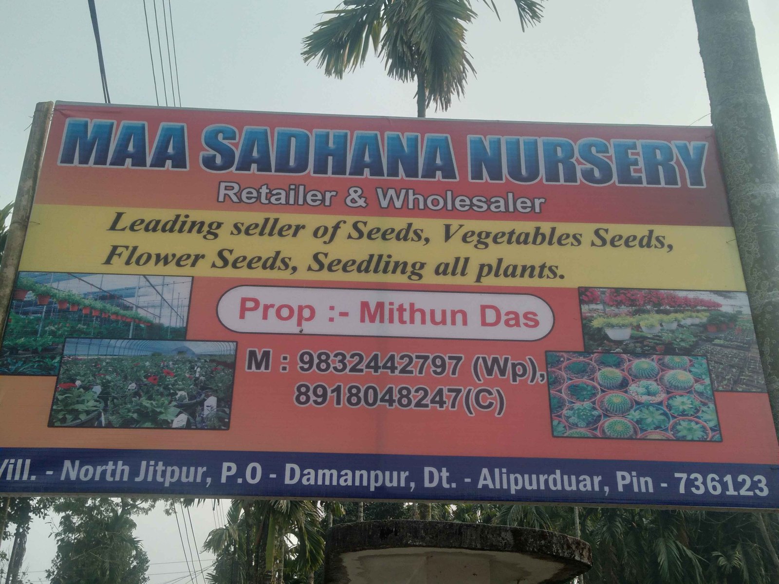 Ma Sadhana Nursery