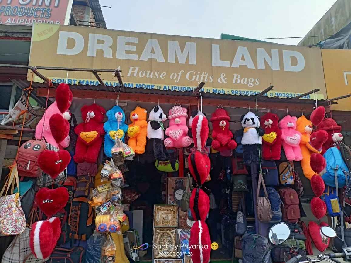New dream land shop
