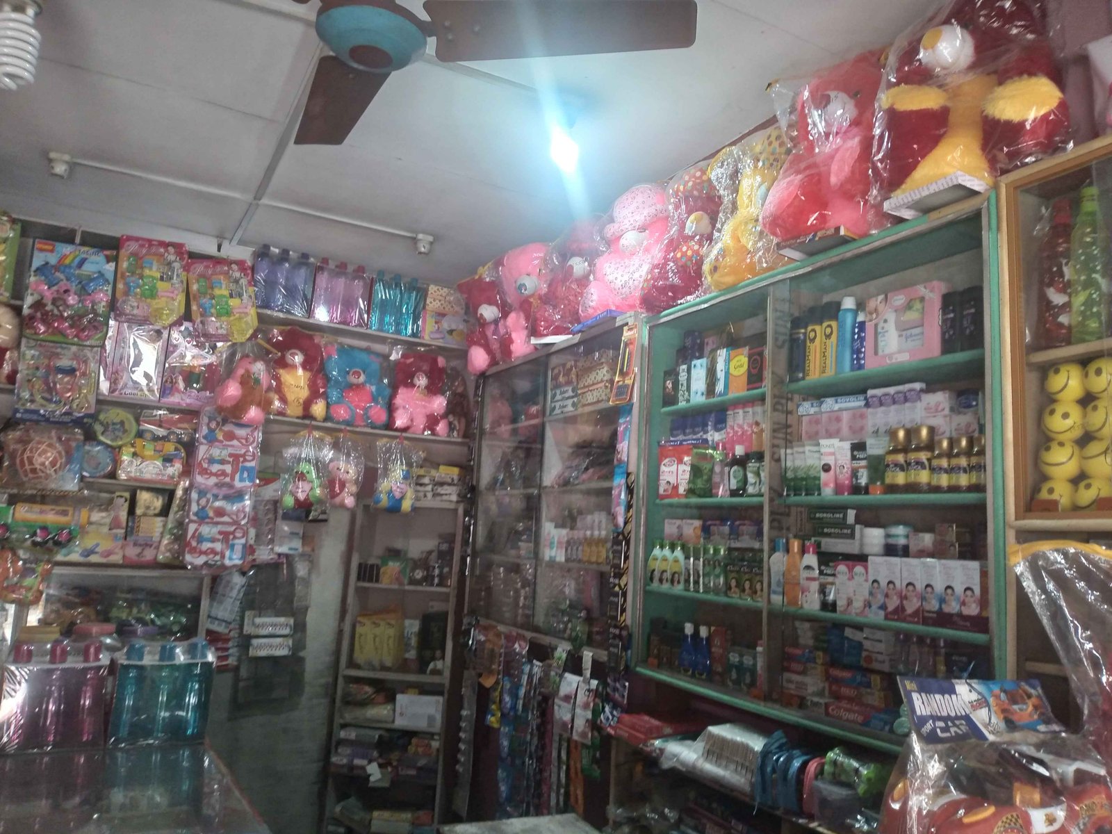 Dolly store